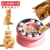 New pet cat toys, slanted neck guards, anti-slip and anti-knock cat food bowls, fun cat bowls, educational pet supplies details Picture